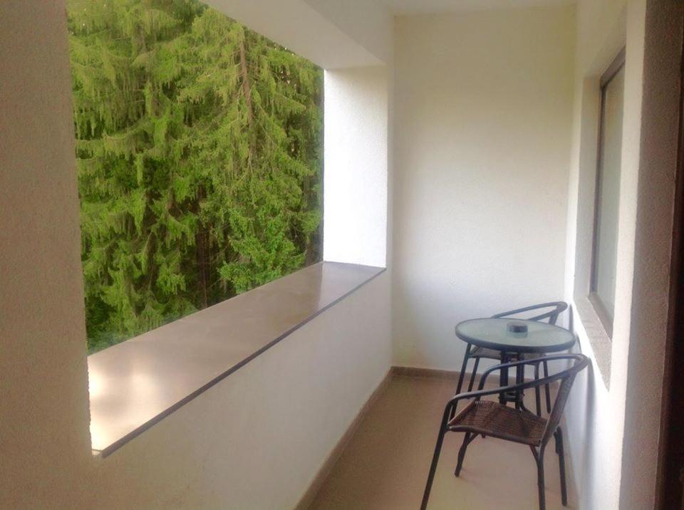 Hotel Hart Predeal Esterno foto