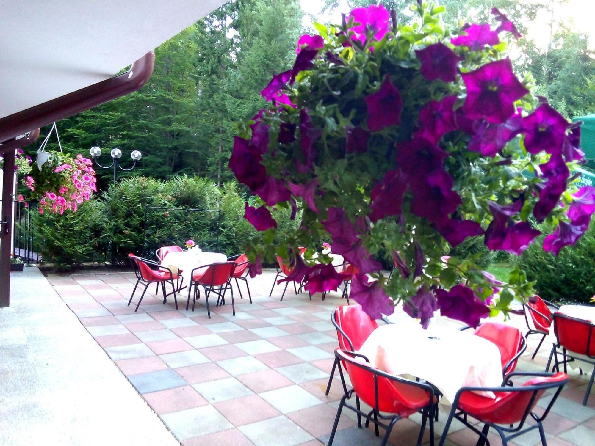 Hotel Hart Predeal Esterno foto