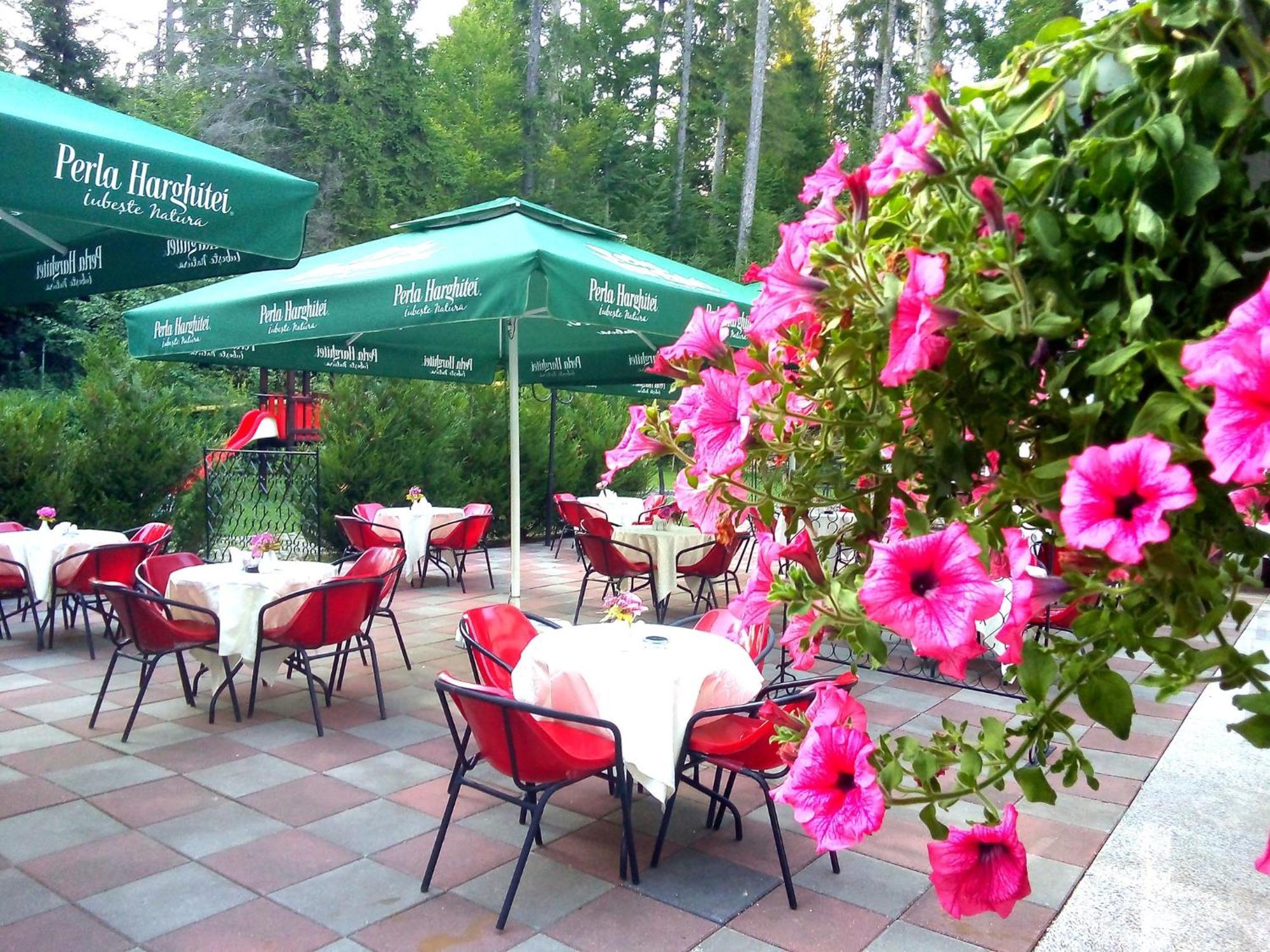Hotel Hart Predeal Esterno foto